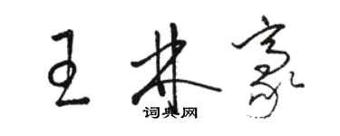 駱恆光王林豪草書個性簽名怎么寫