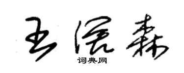 朱錫榮王闊森草書個性簽名怎么寫