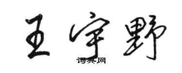 駱恆光王宇野行書個性簽名怎么寫
