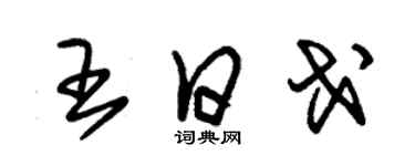 朱錫榮王日戈草書個性簽名怎么寫