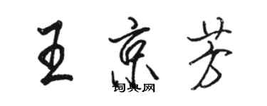 駱恆光王京芳行書個性簽名怎么寫