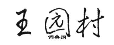 駱恆光王園村行書個性簽名怎么寫