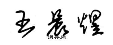 朱錫榮王晨煜草書個性簽名怎么寫