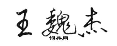 駱恆光王魏傑行書個性簽名怎么寫