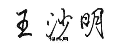 駱恆光王沙明行書個性簽名怎么寫