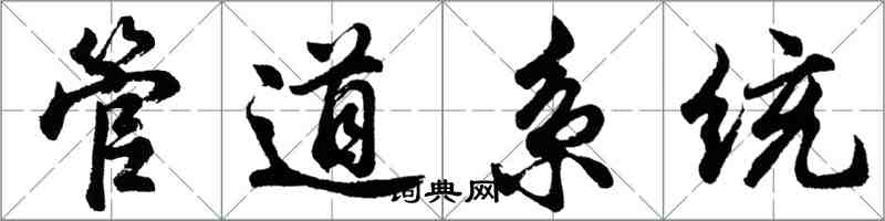 胡問遂管道系統行書怎么寫