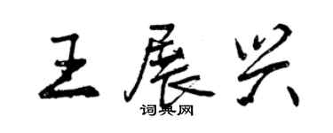 曾慶福王展興行書個性簽名怎么寫