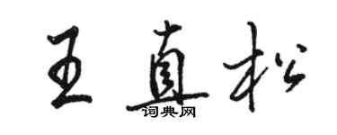 駱恆光王直松行書個性簽名怎么寫