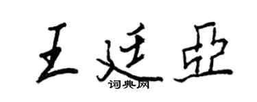 王正良王廷亞行書個性簽名怎么寫