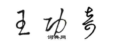 駱恆光王功奇草書個性簽名怎么寫