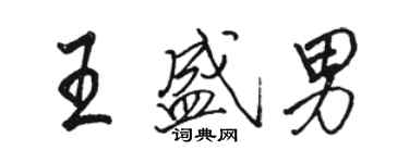 駱恆光王盛男行書個性簽名怎么寫