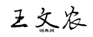 曾慶福王文農行書個性簽名怎么寫