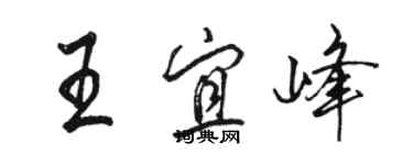 駱恆光王宜峰行書個性簽名怎么寫