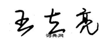 朱錫榮王立亮草書個性簽名怎么寫