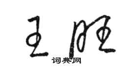 駱恆光王旺草書個性簽名怎么寫