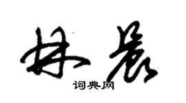 朱錫榮林晨草書個性簽名怎么寫