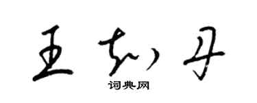 梁錦英王知丹草書個性簽名怎么寫