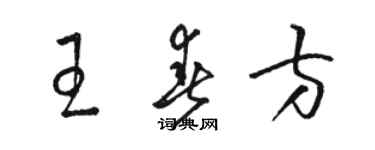 駱恆光王春方草書個性簽名怎么寫