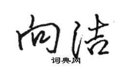 駱恆光向潔行書個性簽名怎么寫