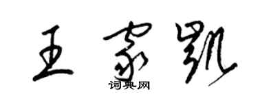 梁錦英王家凱草書個性簽名怎么寫