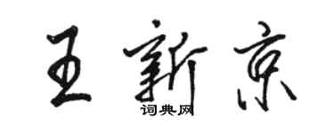 駱恆光王新京行書個性簽名怎么寫
