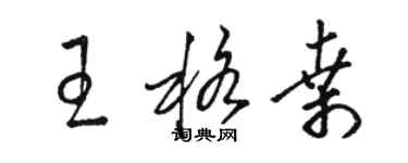 駱恆光王格桑草書個性簽名怎么寫