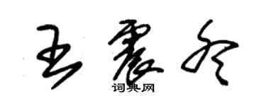 朱錫榮王震冬草書個性簽名怎么寫