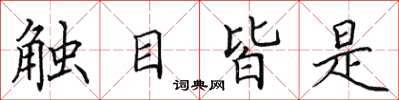 田英章觸目皆是楷書怎么寫