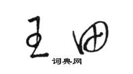 駱恆光王田草書個性簽名怎么寫