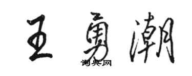 駱恆光王勇潮行書個性簽名怎么寫