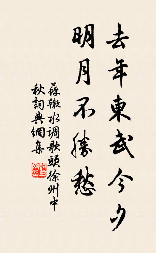 蘇轍去年東武今夕,明月不勝愁。書法作品欣賞