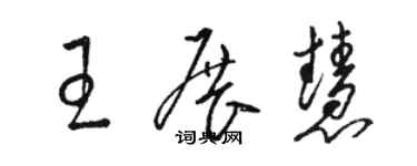 駱恆光王展慧草書個性簽名怎么寫