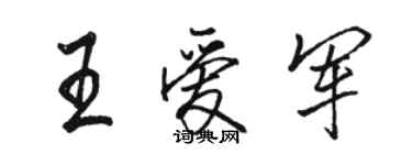 駱恆光王愛軍行書個性簽名怎么寫