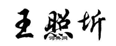 胡問遂王照圻行書個性簽名怎么寫
