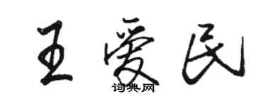 駱恆光王愛民行書個性簽名怎么寫