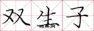 龐中華雙生子楷書怎么寫