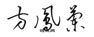 駱恆光方鳳蘭草書個性簽名怎么寫