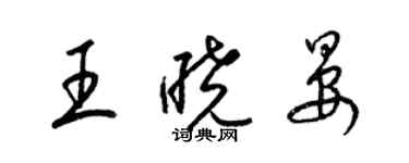 梁錦英王曉晏草書個性簽名怎么寫