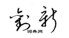 梁錦英劉新草書個性簽名怎么寫