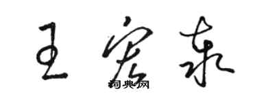 駱恆光王宏泰草書個性簽名怎么寫