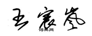 朱錫榮王宸嵐草書個性簽名怎么寫