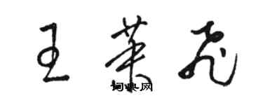 駱恆光王茉飛草書個性簽名怎么寫