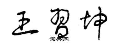 曾慶福王習坤草書個性簽名怎么寫