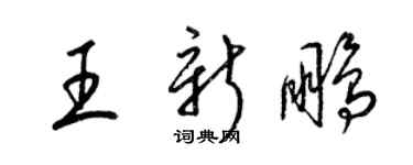 梁錦英王新鵬草書個性簽名怎么寫