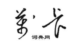 駱恆光萬卡草書個性簽名怎么寫