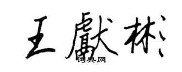 王正良王獻彬行書個性簽名怎么寫