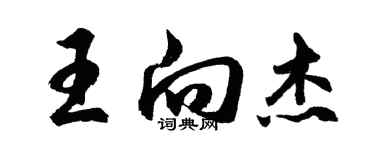 胡問遂王向傑行書個性簽名怎么寫