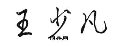 駱恆光王少凡行書個性簽名怎么寫