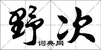 胡問遂野次行書怎么寫