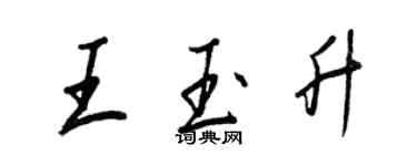 王正良王玉升行書個性簽名怎么寫